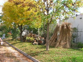 DSCN0068