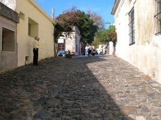 DSCN0246
