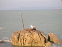 DSCN0827