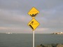 Dalkey, Ireland, December