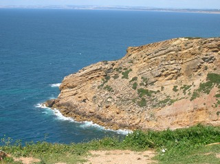 DSCN1021