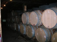 Barrels of Beer