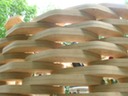 DSCN1770
