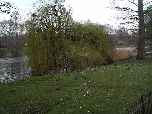 Image062
