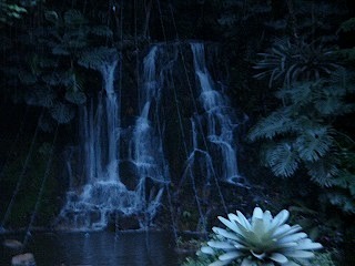 image1099_textmedium