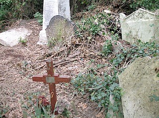 DSCN1561_textmedium