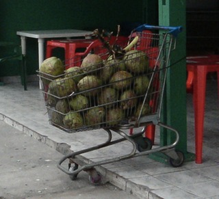 Sao_Paulo_Green_Coconuts